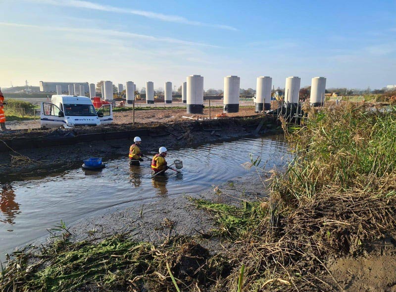 consultancy-lancaster-canal